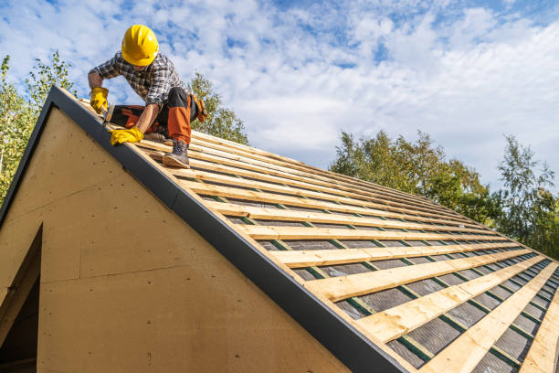 Best Roof Waterproofing Services  in Colona, IL