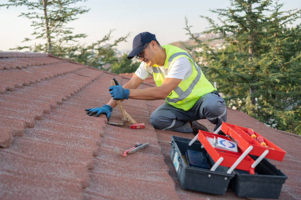 Tile Roofing Contractor in Colona, IL
